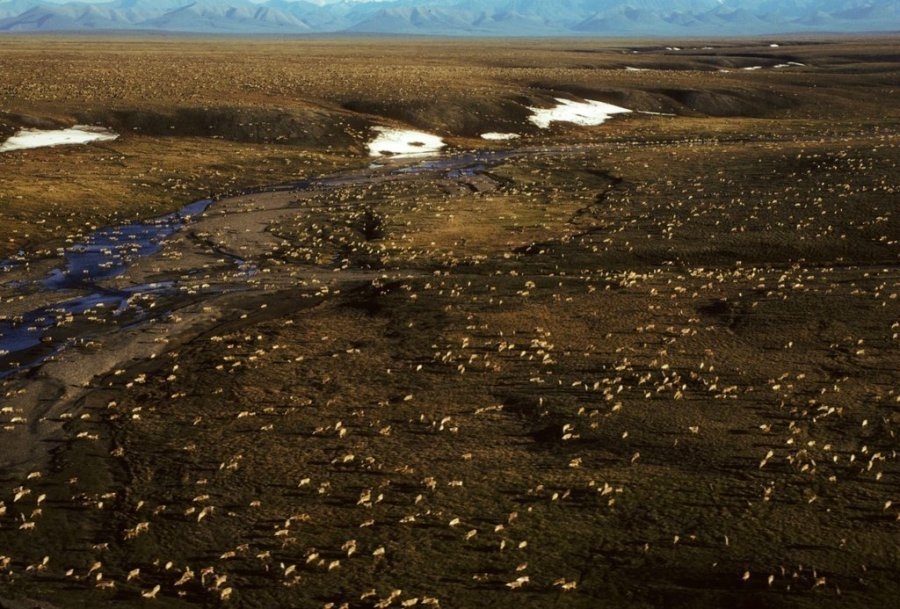 Opinion - Trump has the chance and the legal tools to tap Alaska's minerals and energy