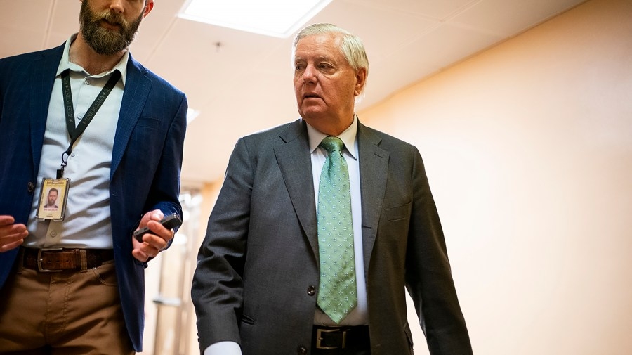 Pediatrician Annie Andrews challenges Lindsey Graham in South Carolina