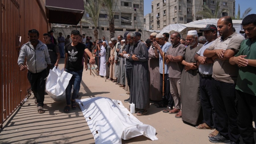 Dozens of Palestinians killed making their way to Gaza aid hub: Report