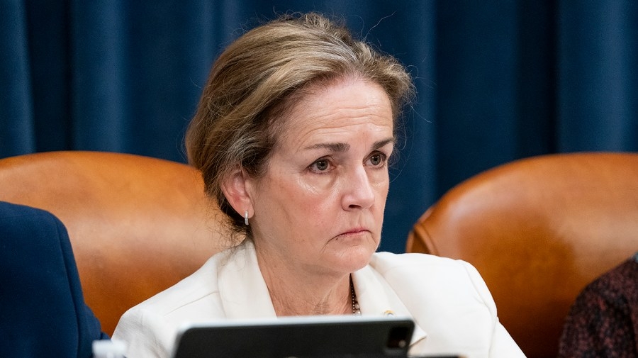 Pennsylvania Dem: ‘It seems like we're in a trade war with ourselves'