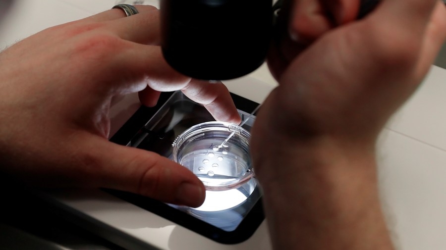 HHS layoffs undercut Trump's pledge to be ‘fertilization president'