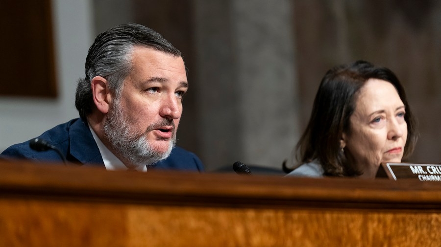 Is Ted Cruz running again? Texas carves out unique lane in Trump's GOP