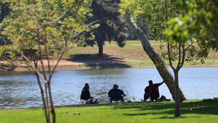 California freshwater fish carrying invasive parasitic worms: Study