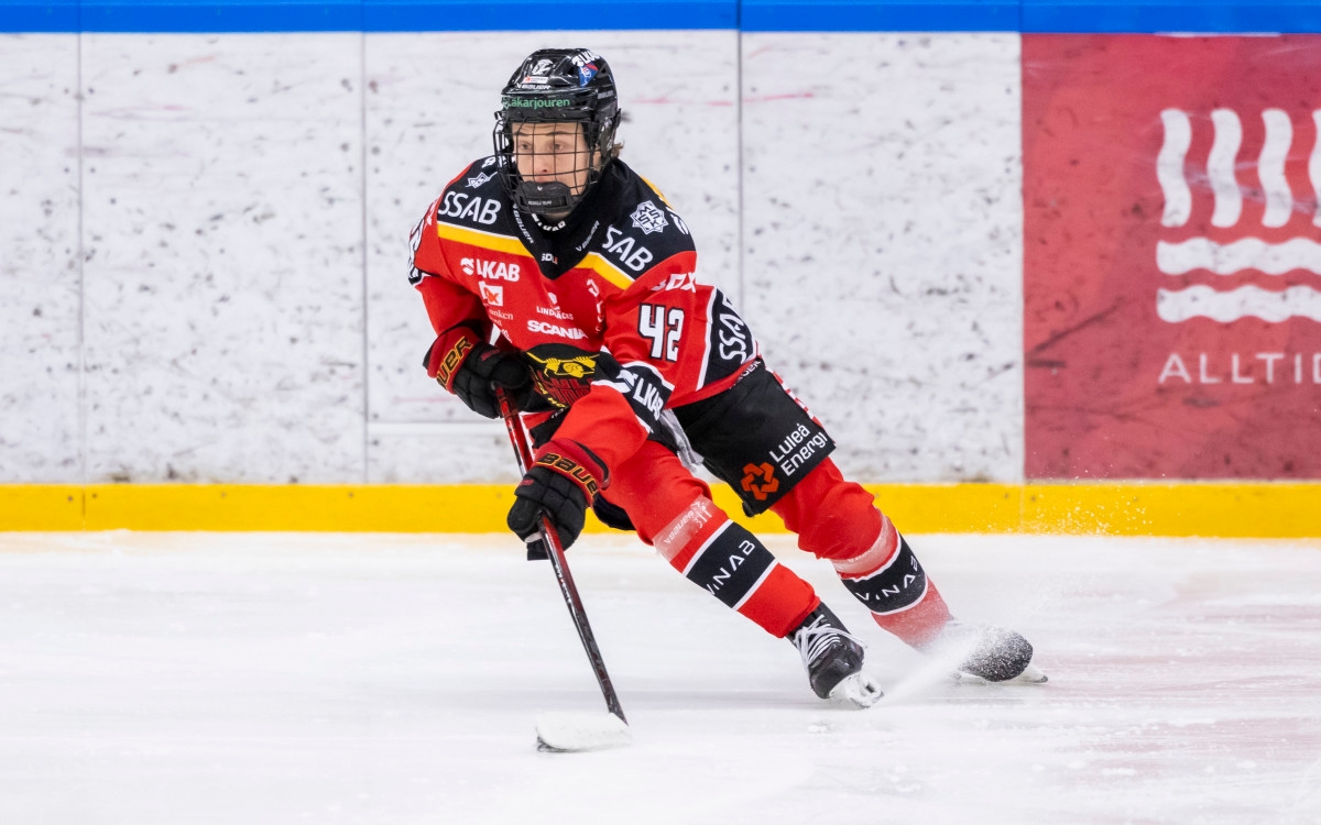 SDHL Playoff Preview: Luleå vs Skellefteå