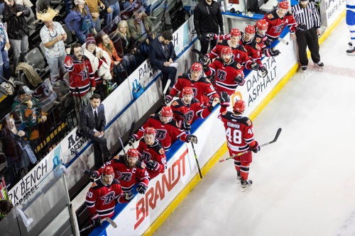 Rapid City's Martin Recalled To AHL