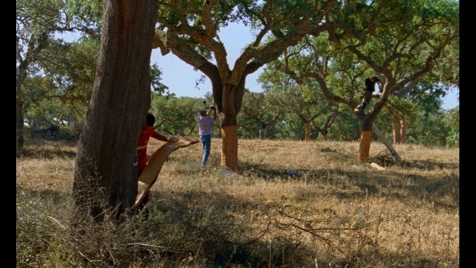 ‘The Seasons' Is an 'Archaeological Film' Uncovering Tales and 'Shared History' (Exclusive Trailer)