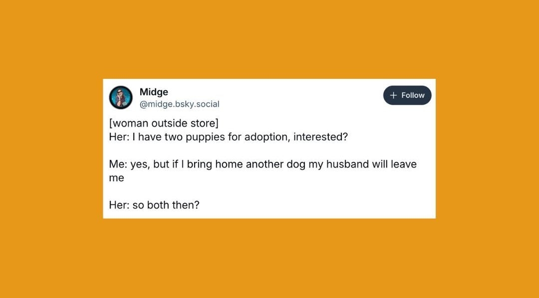 22 Of The Funniest Posts About Cats And Dogs This Week (May 24-30)