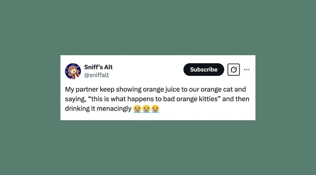 30 Of The Funniest Posts About Cats And Dogs This Week (March 15-21)