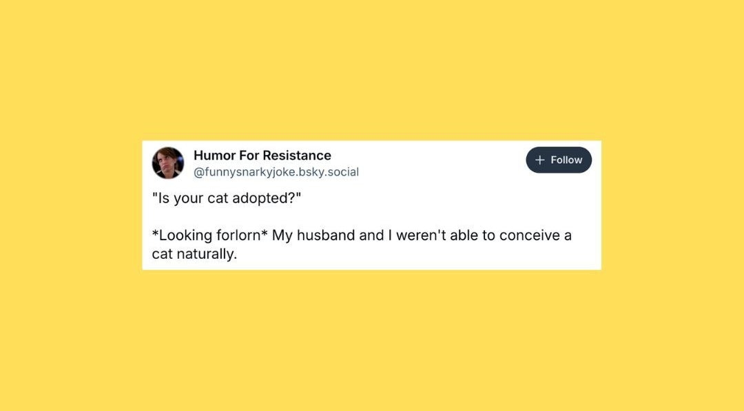 25 Of The Funniest Posts About Cats And Dogs This Week (July 26-Aug. 1)