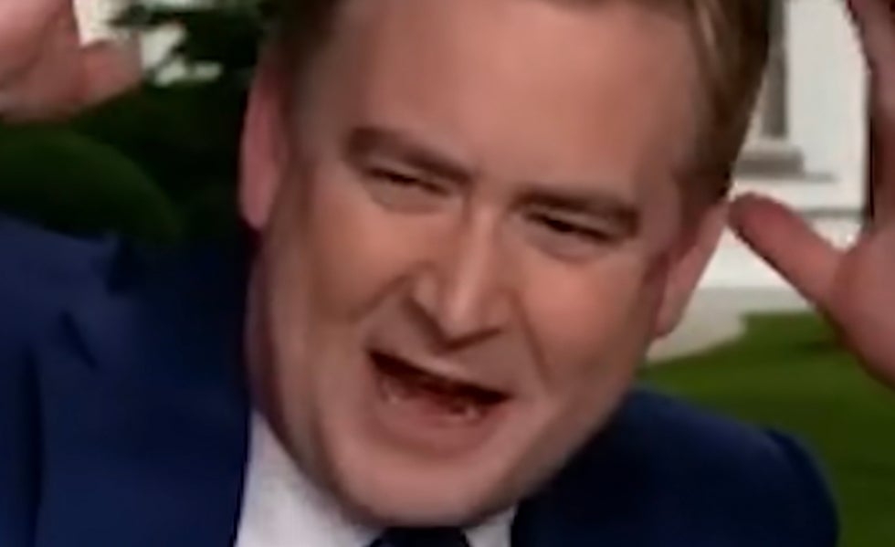 Fox News' Peter Doocy Faces Another Avian Ambush At The White House