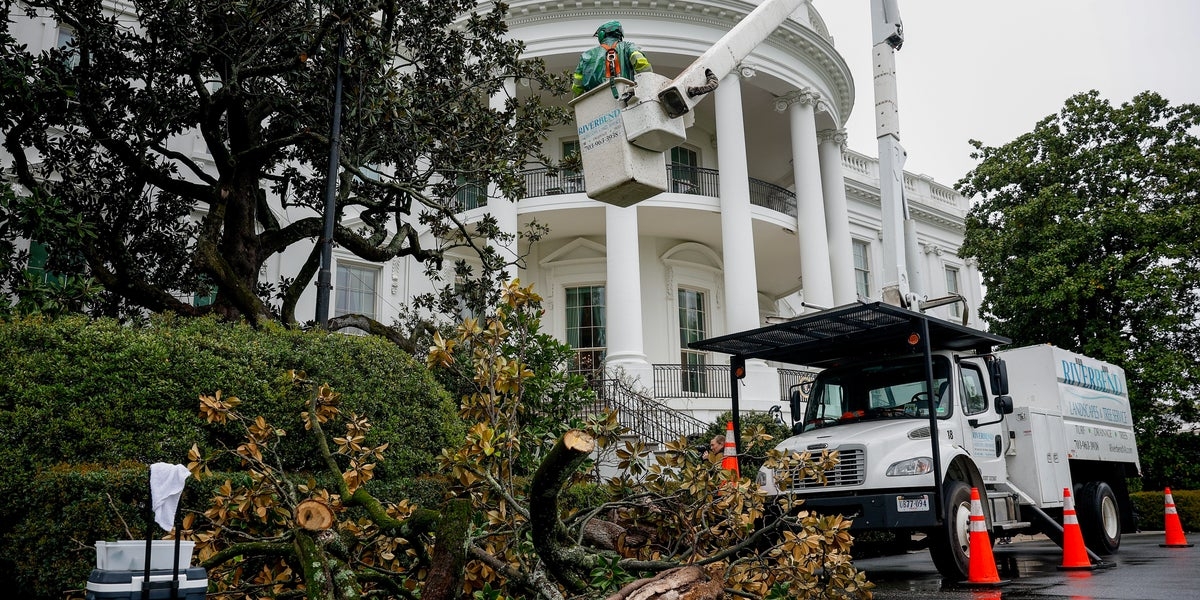 Trump Helps Plant 'MAGAnolia' In Place Of Nearly 200-Year-Old White House Tree