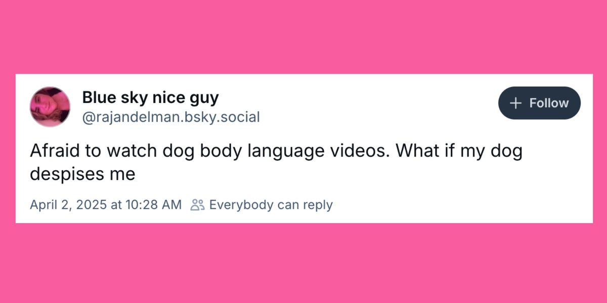 20 Of The Funniest Posts About Cats And Dogs This Week (March 29-April 4)