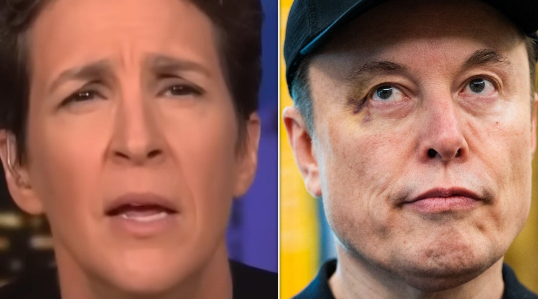 Rachel Maddow Nails Brutal Metaphor For Elon Musk's Impact On Government