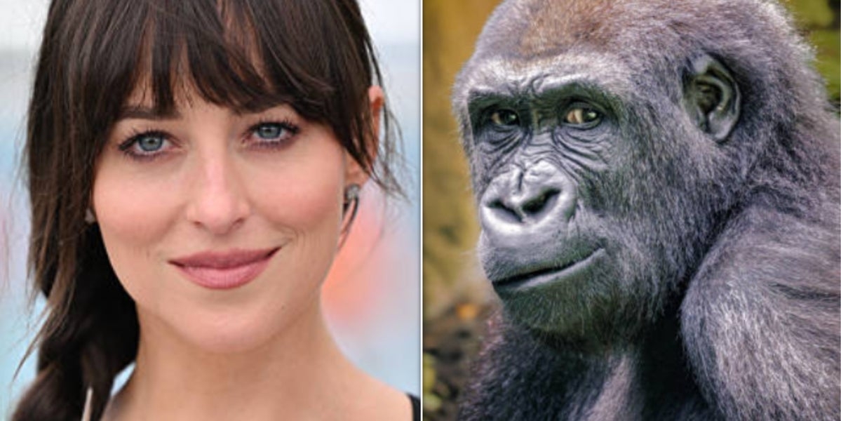 Dakota Johnson Says She Pulled Disgusting Prank — And Lie Detector Indicates It's The Truth