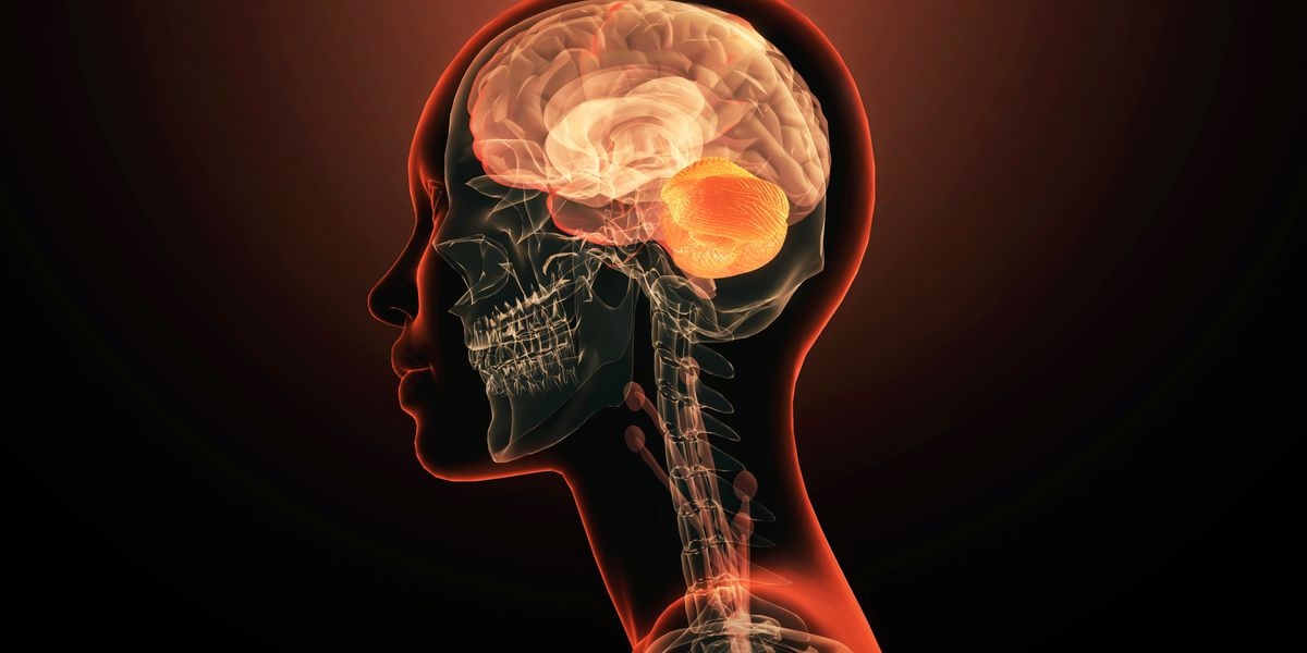 The No. 1 Thing You Can Do To Keep Your Brain Healthy, According To A Neurologist