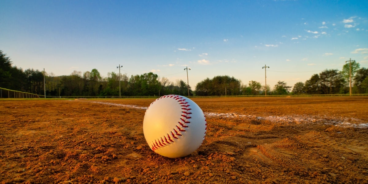 Youth Baseball Coaches Caught On Video Apparently Running Naked In Front Of Kids