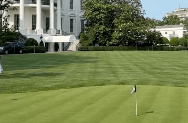 Famous Trump Golf Buddy Practices On White House Lawn In Viral Video