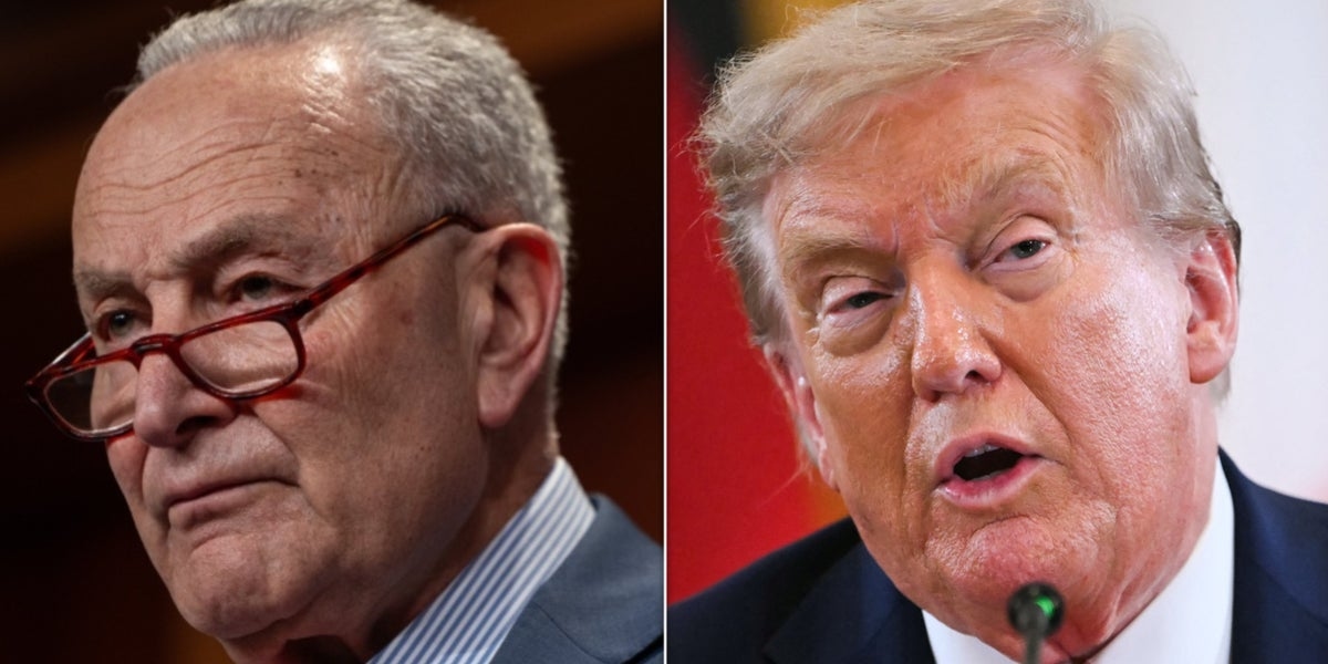 Schumer Rips Trump's Bid To End Mail-In Ballots, Voting Machines