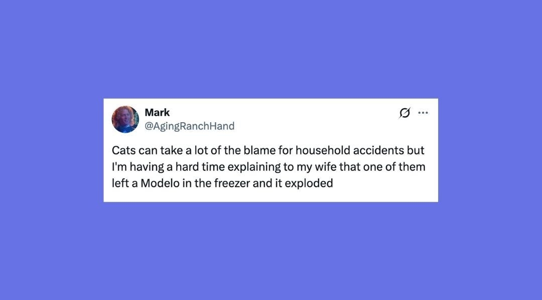 22 Of The Funniest Posts About Cats And Dogs This Week (June 7-13)
