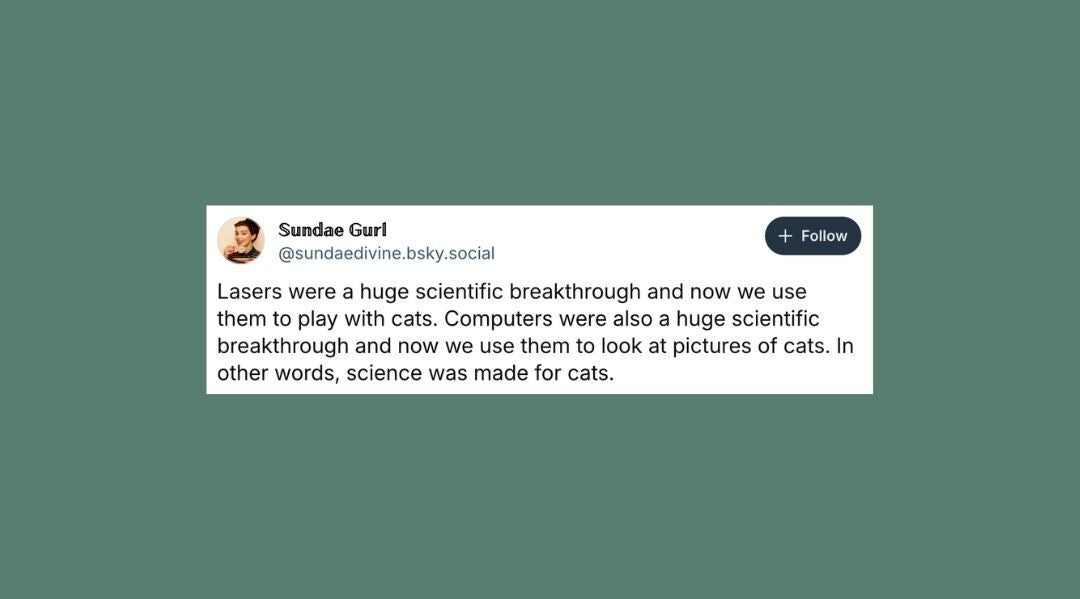 21 Of The Funniest Posts About Cats And Dogs This Week (May 31-June 6)