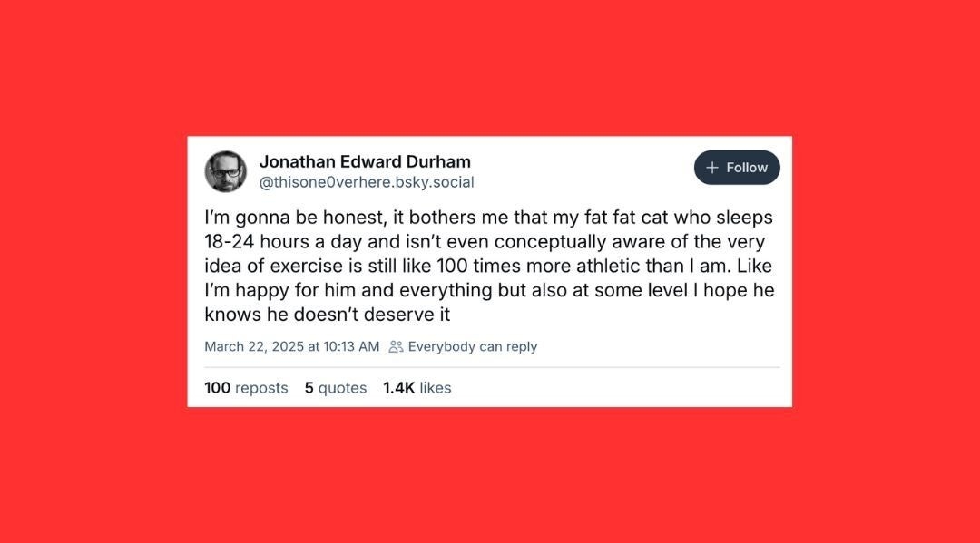 20 Of The Funniest Posts About Cats And Dogs This Week (March 22-28)