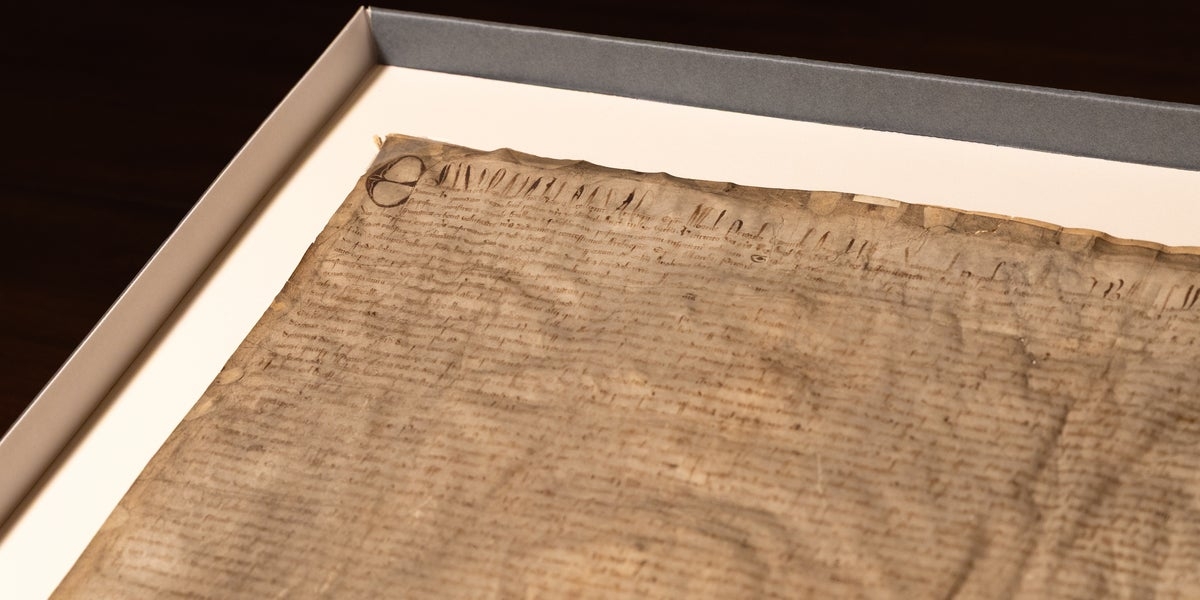 Magna Carta Copy Harvard Bought For $27 Is Determined To Be Authentic