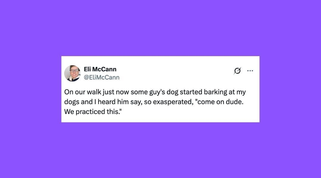 25 Of The Funniest Posts About Cats And Dogs This Week (April 5-11)
