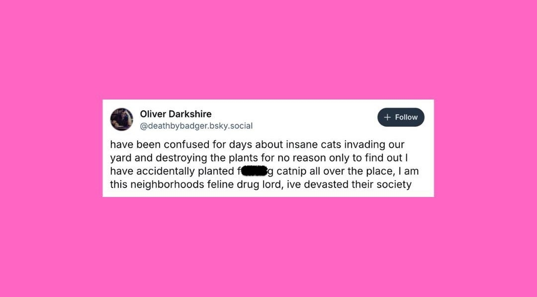 20 Of The Funniest Posts About Cats And Dogs This Week (June 21-27)