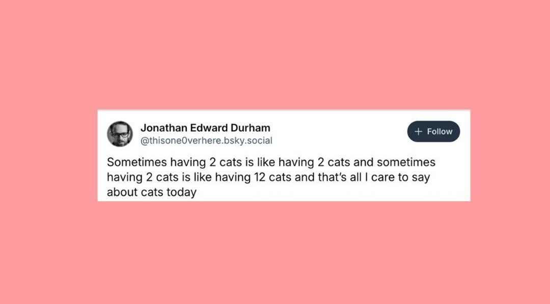 23 Of The Funniest Posts About Cats And Dogs This Week (March 1-7)