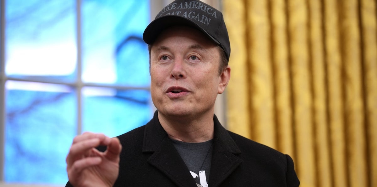 Elon Musk's Department of Government Inefficiency