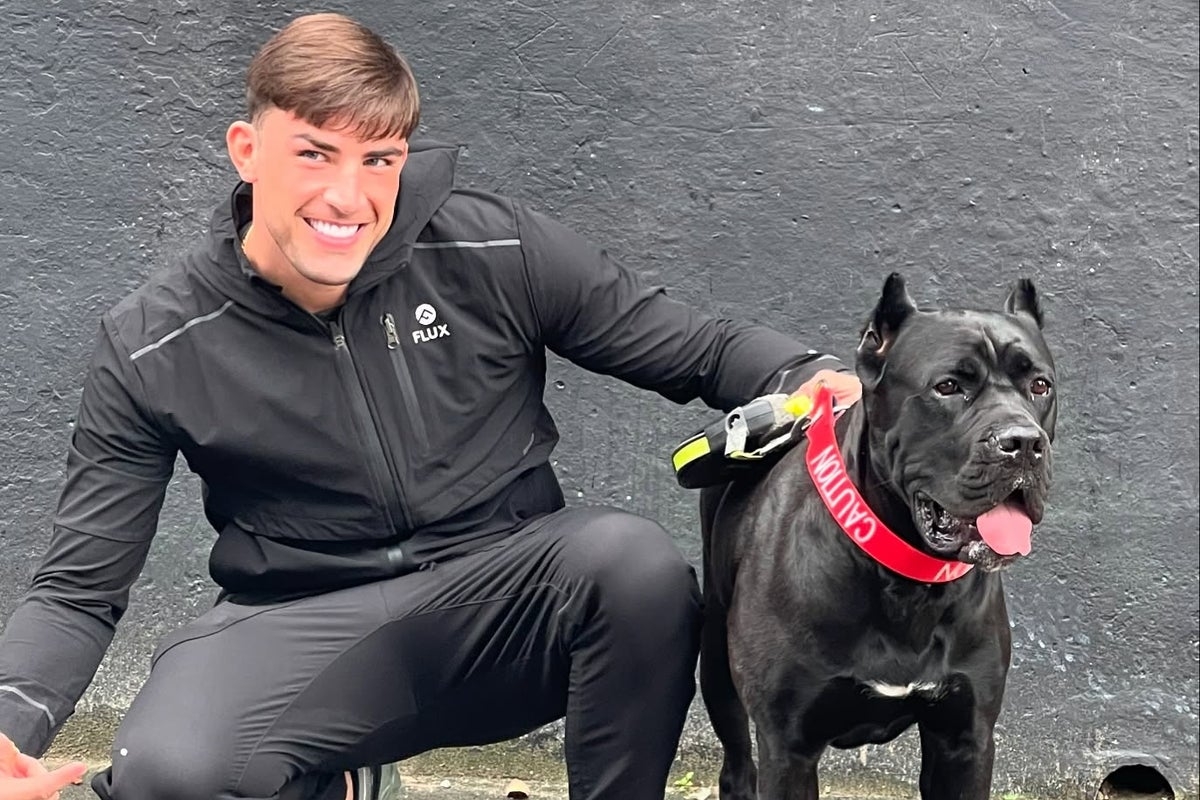 Love Island winner Jack Fincham jailed for six weeks after dangerous dog attack