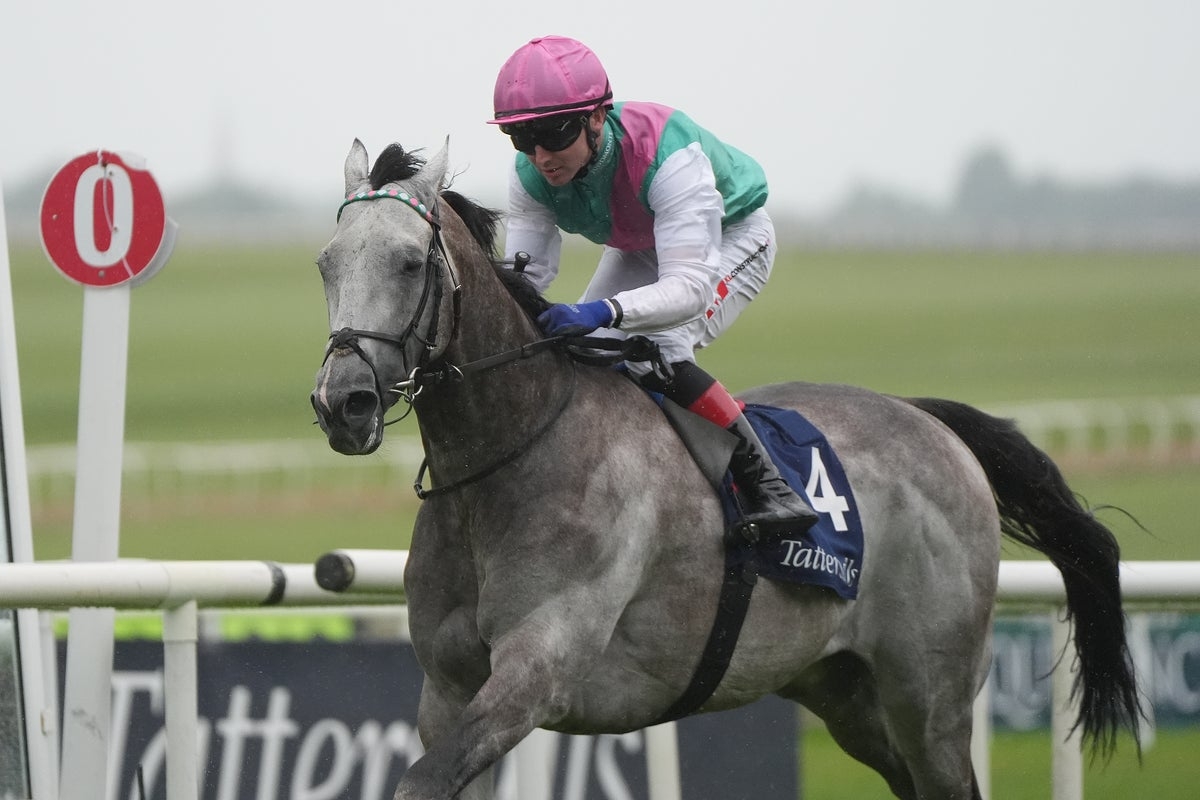 Royal Ascot betting offer: 40/1 on Field Of Gold to win St James's Palace Stakes