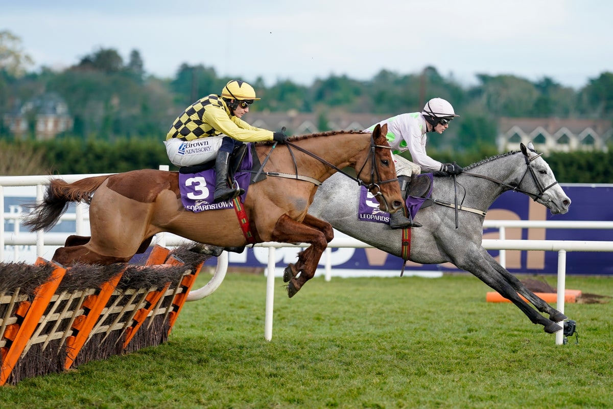Cheltenham Festival LIVE: Latest news with fields for Day 2 races revealed