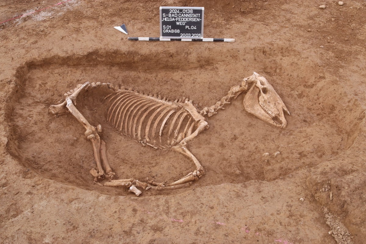‘Very rare' horse cemetery from Roman times unearthed in Germany