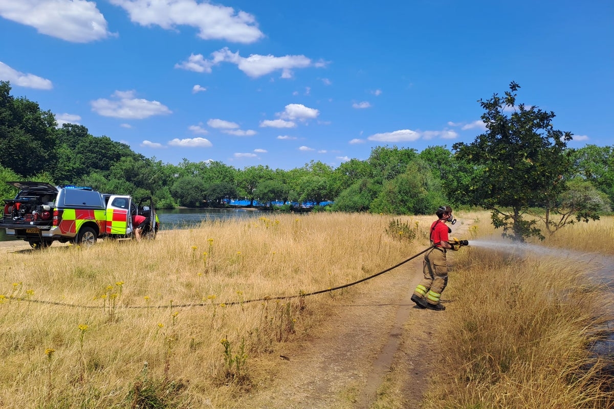 Wildfire breaks out in London amid latest heatwave warning