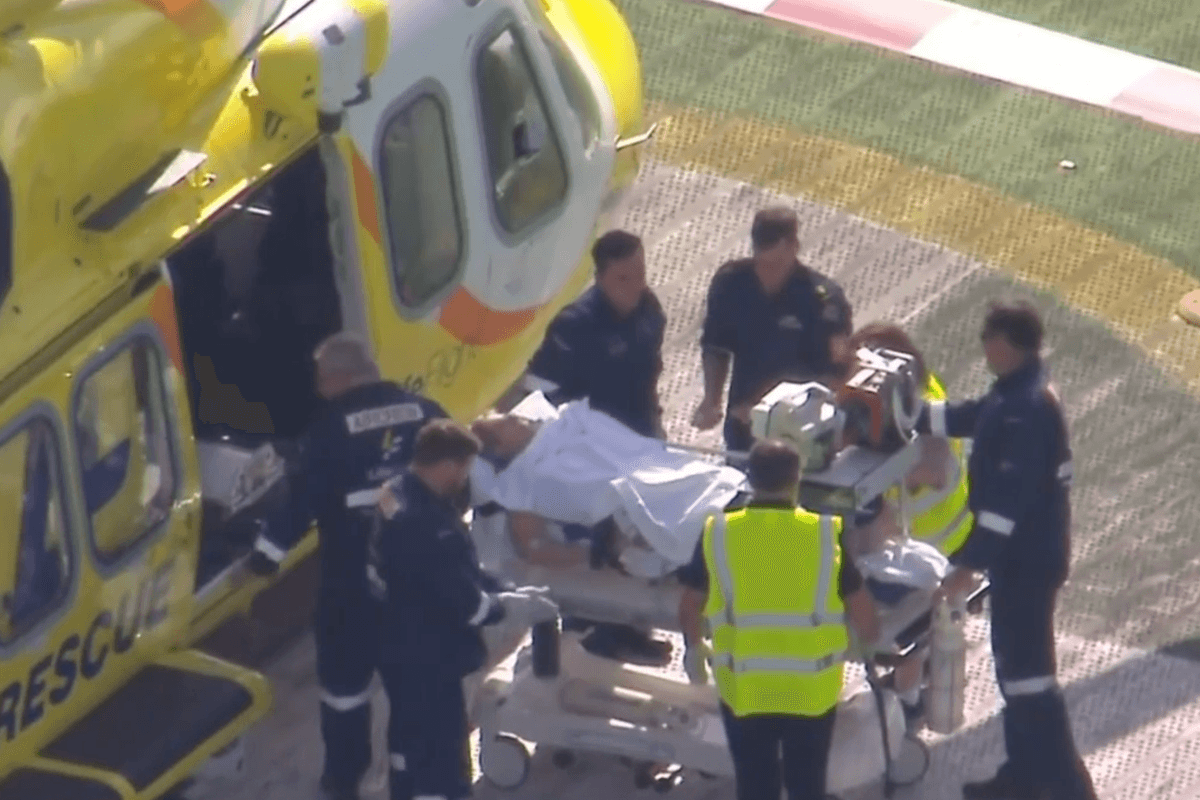 Woman ‘loses arm' in lion attack at Australian zoo