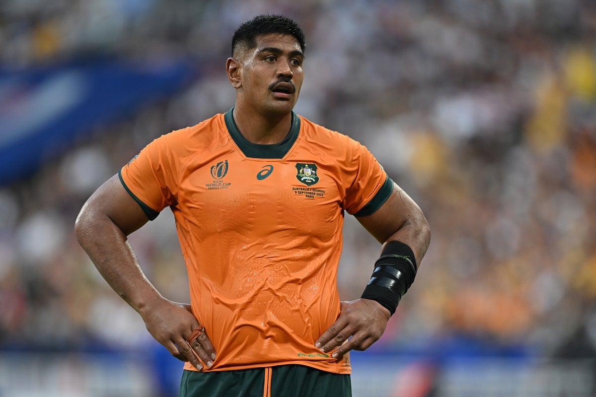 Joe Schmidt provides update on Rob Valetini and Will Skelton after huge double Australia injury blow