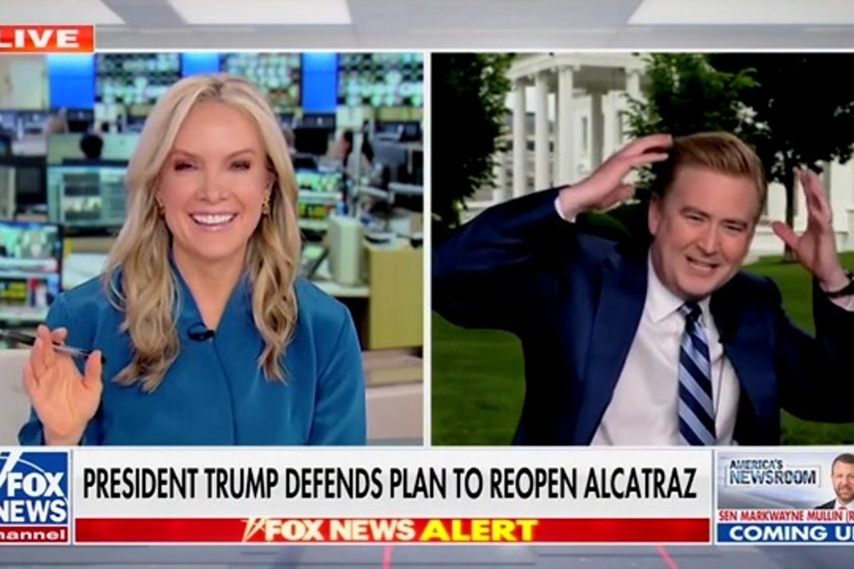 Fox News' Peter Doocy once again the victim of fowl play as another rogue bird attacks him