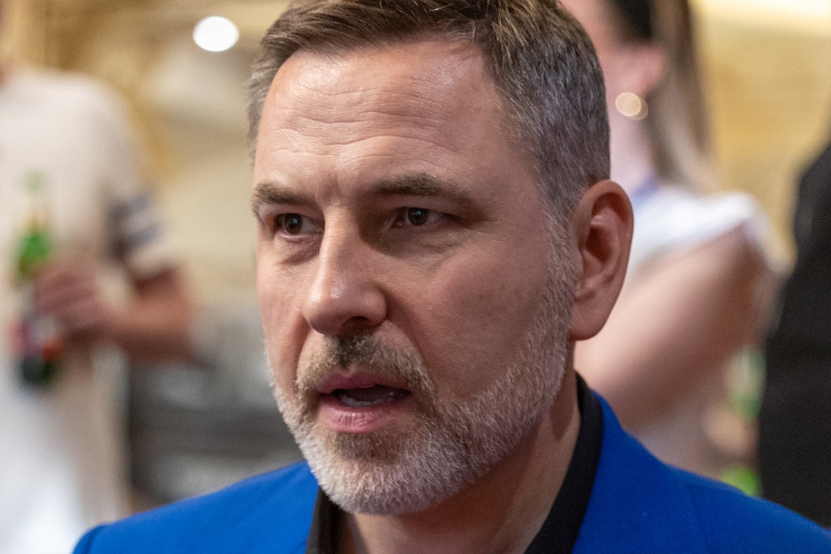 David Walliams ‘shocks' audience with two Nazi salutes at Would I Lie to You? recording