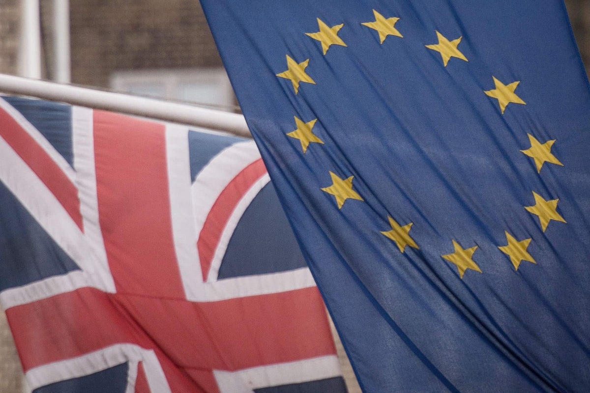 Post-Brexit chaos as EU citizens living in Britain wrongly barred from UK