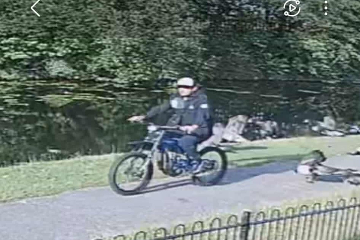 Man on e-bike kills goose after ploughing into birds in ‘horrific' act