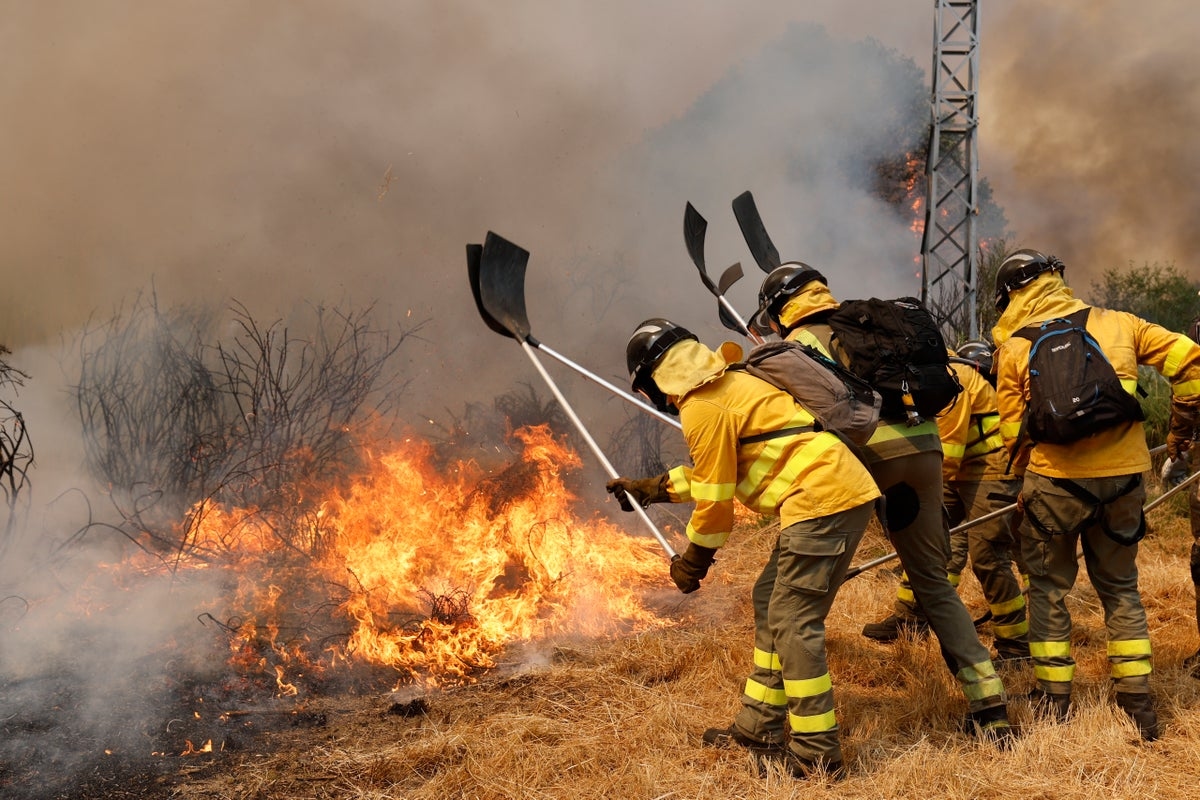 Wildfires in Spain are setting an alarming new record, according to EU data