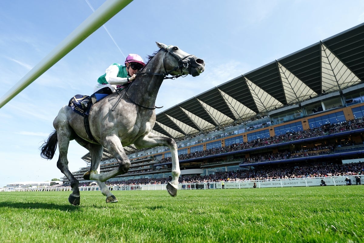 Glorious Goodwood racing tips: Best bets and odds for day one