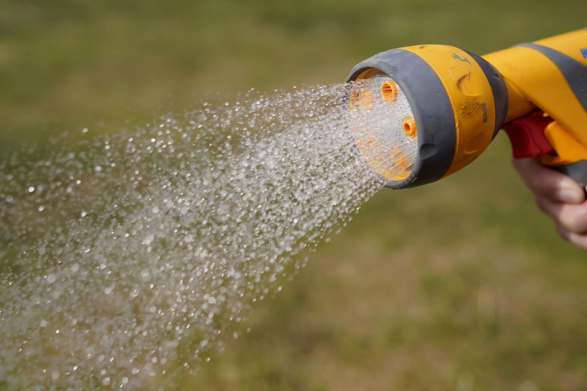 Mapped: Is there a hosepipe ban in my area and what restrictions are in place?