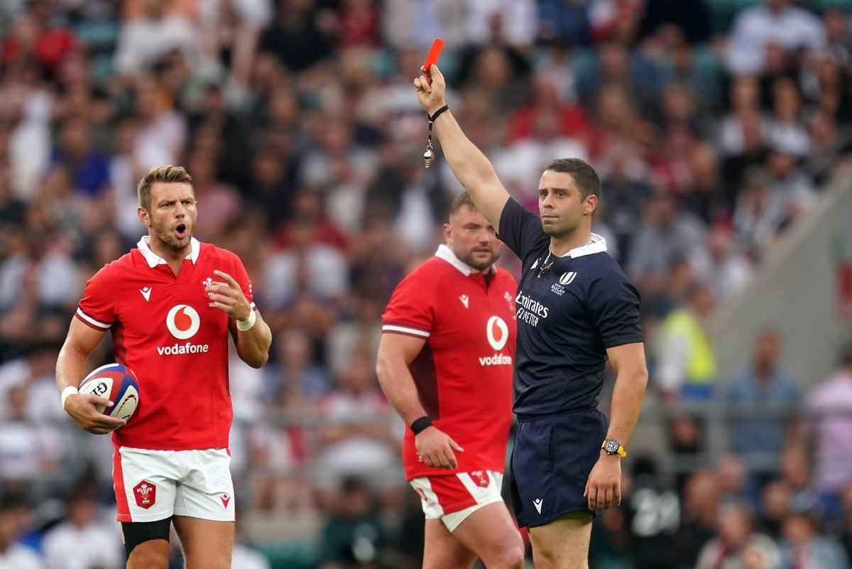 England vs France referee: Who is Six Nations official Nika Amashukeli?