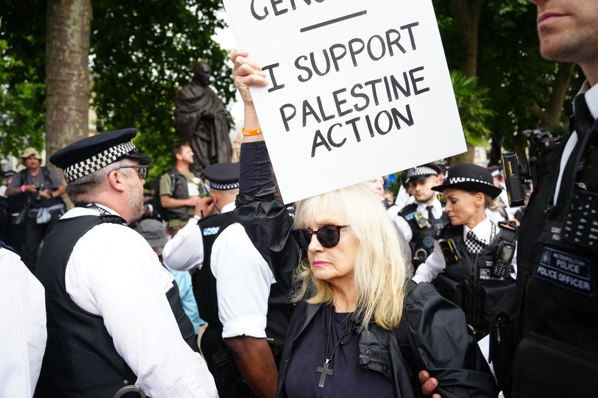 Voices: Why I am joining the Palestine Action protesters