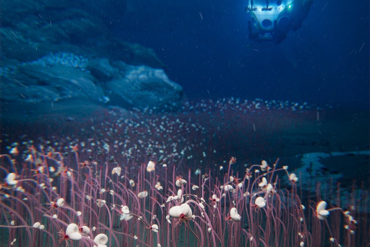 Scientists have found weird animals at the bottom of the ocean that challenge our understanding of life