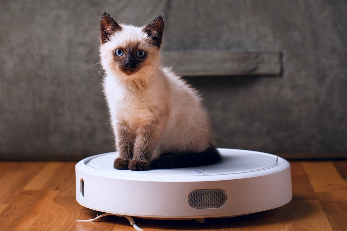 Robot vacuums are ‘too idle' and can be reprogrammed to water plants, researchers say