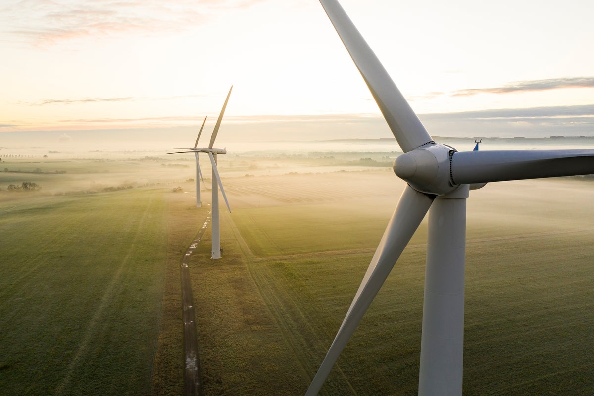 Reform gives power companies ‘formal notice' it plans to scrap their clean energy subsidies