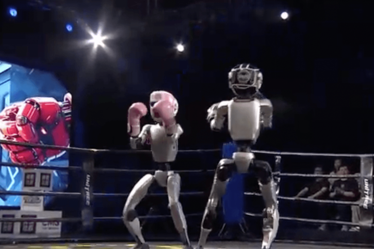 Watch: World's first humanoid robot kickboxing tournament held in China